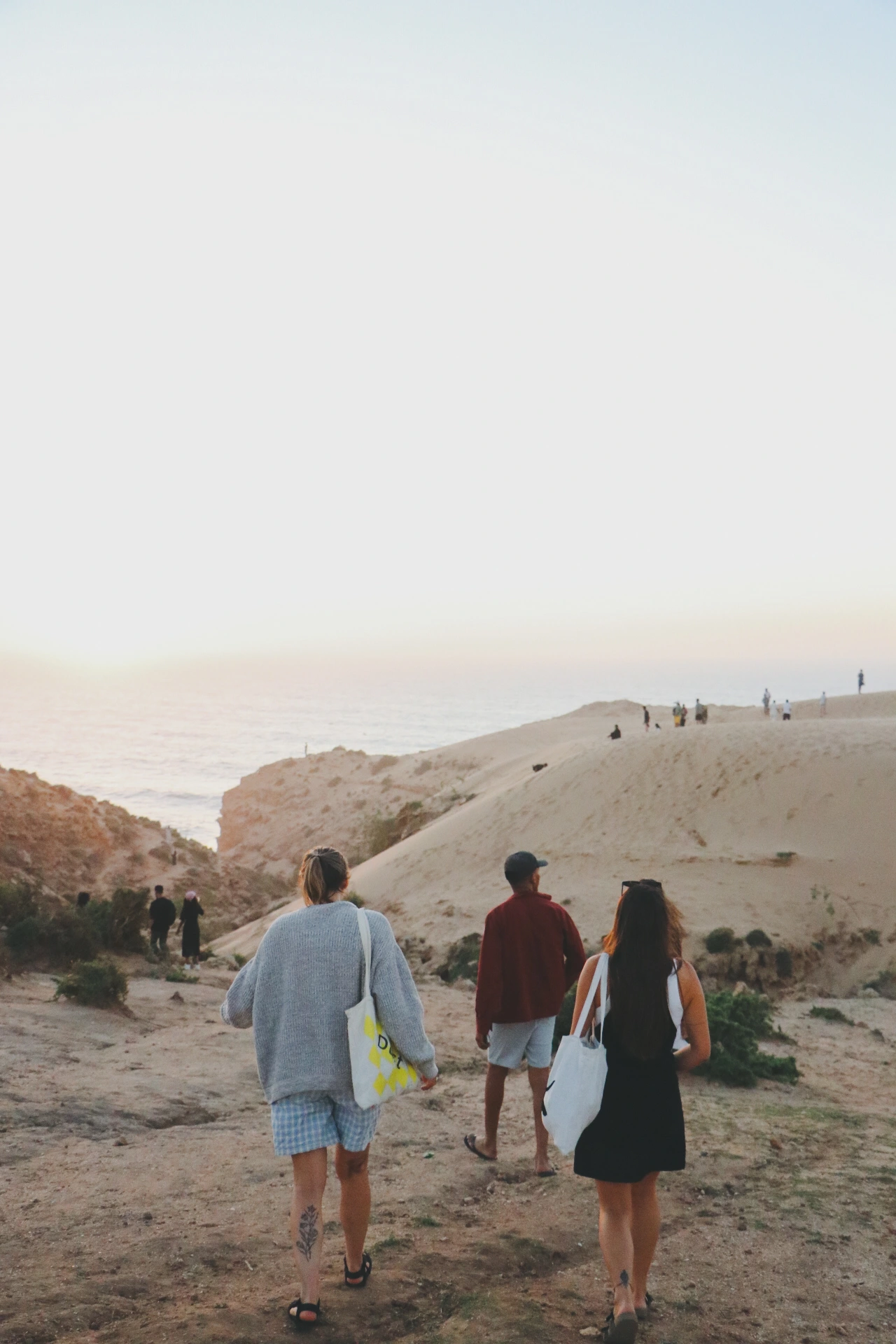 Free Surf & Guiding gallery 5